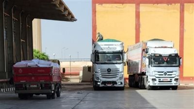 صوامع الشرقية تستقبل نحو 600 ألف طن قمح محلي 