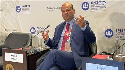 خالد حنفي: مصر ودول الخليج تستحوذان على 80% من نشاط التجارة الإلكترونية عربيًا