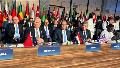 مصر تشارك في الدورة الـ51 لمجلس وزراء خارجية التعاون الإسلامي بإسطنبول