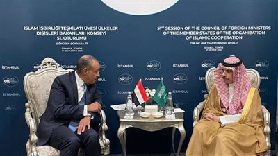 وزير الخارجية والهجرة يلتقي بنظيره السعودي
