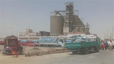 توريد 283 ألف طن قمح للشون والصوامع بالفيوم