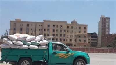 توريد أكثر من 598 ألف طن منذ بداية الحصاد في الشرقية