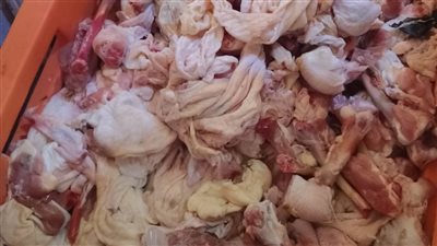 ضبط 280 كجم أوراك دواجن فاسدة داخل محل في طوخ بالقليوبية