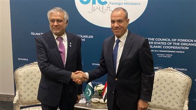 وزير الخارجية والهجرة يلتقي بنظيره الباكستاني في إسطنبول 