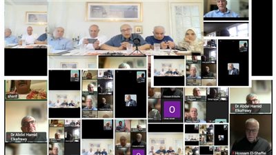 المصريون بالخارج: حقوق وواجبات في لقاء وطني جامع برعاية اتحاد المصريين بأوروبا