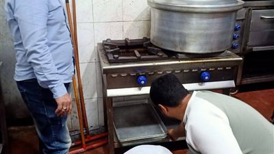 المرور على 221 منشأة غذائية وإعدام 66 طن أغذية غير صالحة بالإسماعيلية