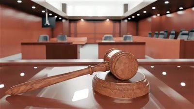 17 يوليو.. دعوى أسرة محمود عبد العزيز لمطالبة بوسي شلبي بتعويض مادي