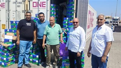 لجنة التفتيش والمتابعة تزور محطات البطاطس وميناء دمياط