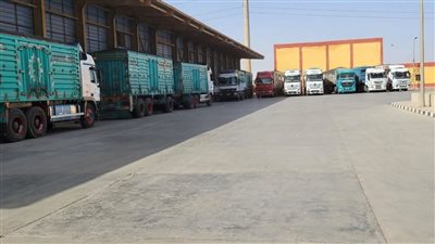 تواصل توريد القمح المحلي لشون وصوامع الشرقية 