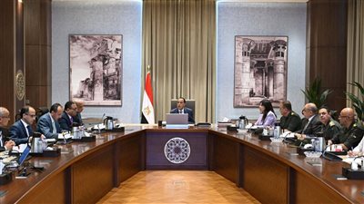 رئيس الوزراء يتابع إجراءات ترشيد استهلاك الكهرباء في الحي الحكومي بالعاصمة الإدارية