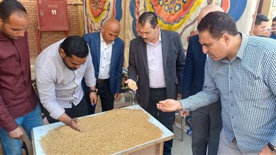 وفرة في الإنتاج.. توريد 283281 طن من القمح بالفيوم