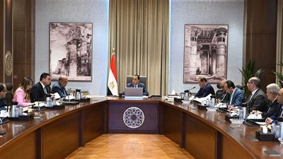 رئيس الوزراء يتابع فض التشابكات المالية بين عدد من الجهات الحكومية