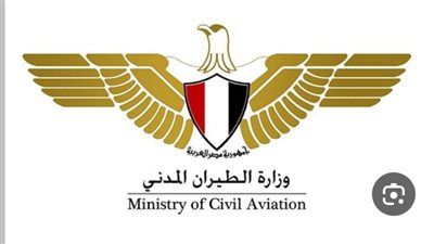 الطيران المدني: المجال الجوي المصري يعمل بكفاءة وبصورة طبيعية