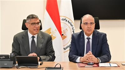 وزير الري: تطوير المنظومة المائية بالجيزة بتطهير الترع وتأهيل محطات الرفع والمنشآت المائية