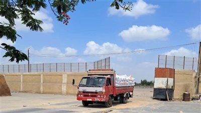 توريد 599 ألف طن قمح لصوامع وشون الشرقية 