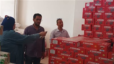 ضبط 10 آلاف قطعة لوليتا غير صالحة للاستهلاك الآدمي في بني سويف