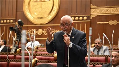 الجندي: وقف إطلاق النار بين إيران وإسرائيل يُجسد صواب الرؤية المصرية في إدارة الأزمات