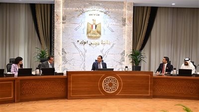 مدبولى يستعرض مع رئيس مؤسسة برجيل