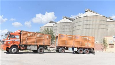 توريد 283543 طن من القمح للشون والصوامع بالفيوم