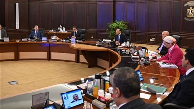 مجلس الوزراء يوافق على مشروع قرار جهاز التنظيم والإدارة لترقية العاملين بالدولة 