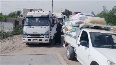 قمح الشرقية يواصل الصدارة بتوريد 599 ألف طن