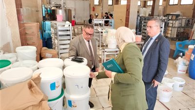 ضبط 6 طن مواد غذائية غير صالحة بالدقهلية