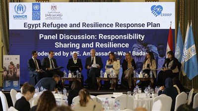 مصر تطلق برنامج 