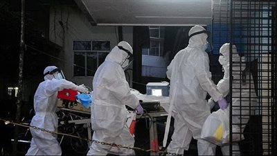 علماء يدقون ناقوس الخطر.. اكتشاف أنواع جديدة لفيروسات الخفافيش تنتقل إلى البشر 