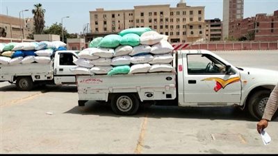 الشرقية تواصل تصدُّرها في توريد القمح المحلي