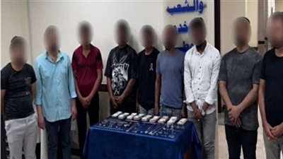 كسر الباب.. ضبط عصابة سرقة المساكن في القاهرة 