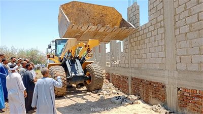  إزالة 40 حالة تعد على الأراضى الزراعية بإسنا في الأقصر