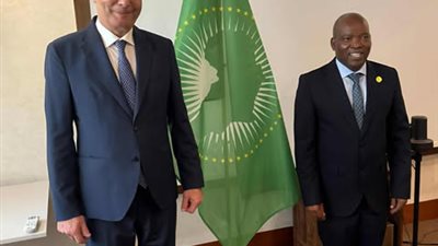 وزير الزراعة يبحث مع المفوض الزراعي الإفريقي التعاون المشترك 