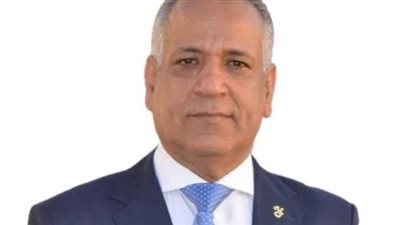 رئيس جمعية رجال الأعمال المصريين الأفارقة: ثورة 30 يونيو كانت ملحمة شعبية خالصة 