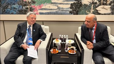 وزير الكهرباء يبحث مع منظمة تطوير وترابط الطاقة العالمية تعزيز التعاون والشراكة 