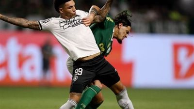 ديربي برازيلي في مونديال الأندية.. تاريخ مواجهات بالميراس وبوتافوجو