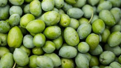 7 أطعمة غنية بالدهون لكن مفيدة للقلب