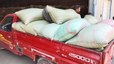 توريد 511 ألف طن قمح لشون وصوامع المنيا 