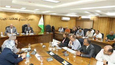 محافظ الجيزة يبحث آليات تحديث المخططات الاستراتيجية لـ 76 قرية ضمن التنمية العمرانية الشاملة