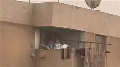 كشف ملابسات فيديو اعتداء أب وأم على طفلهما بالعاشر من رمضان