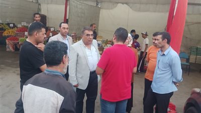 محافظ الدقهلية في جولة مفاجئة بسوق اليوم الواحد
