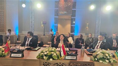 نائبة وزيرة التضامن  تترأس الوفد المشارك في أعمال 