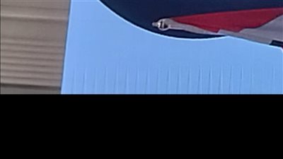 إطلاق الخطة التنفيذية الوطنية لنظم الغذاء والتغذية 2025 – 2030 إلى جانب خارطة الطريق الوطنية