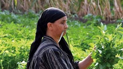 المناخ يعصف بنساء الدلتا 