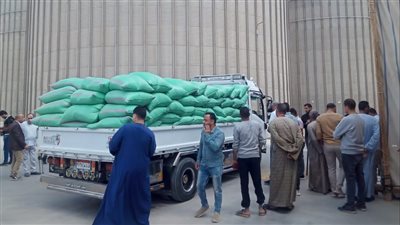  توريد 284 ألف طن من القمح للشون والصوامع بالفيوم