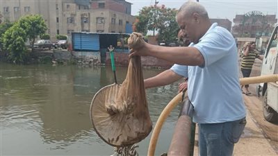 550 ألف زريعة في مياه الشرقية لدعم الأمن الغذائي وتنمية الثروة السمكية
