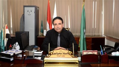 ضبط 876 عبوة سلع تموينية مدعمة قبل بيعها بالفيوم 