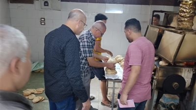 محافظ أسيوط: تحرير 37 محضر تمويني متنوع خلال حملة مكبرة بمركز صدفا