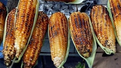 فوائد الذرة المشوية في الصيف.. مصدر غني بالفيتامينات والمعادن