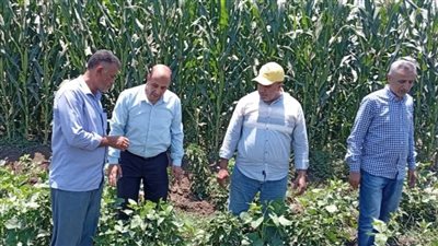 وكيل زراعة الغربية يتفقد الزراعات الصيفية بالمحافظة 