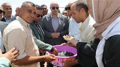 إلقاء 250 ألف زريعة ضمن مشروع الاستزراع السمكي في بنى سويف